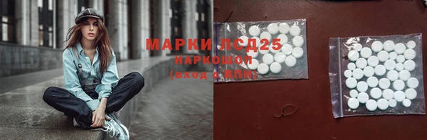 мдпв Магас