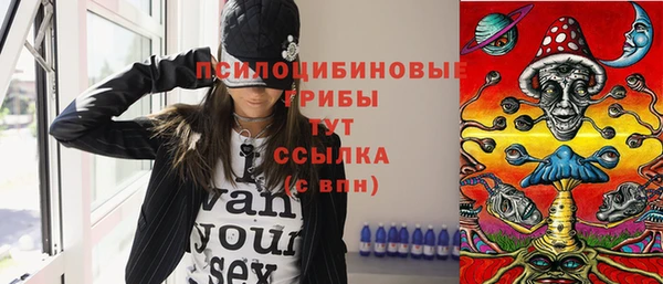 шишки Майский