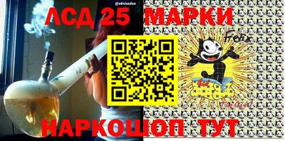 мяу мяу мука Гатчина