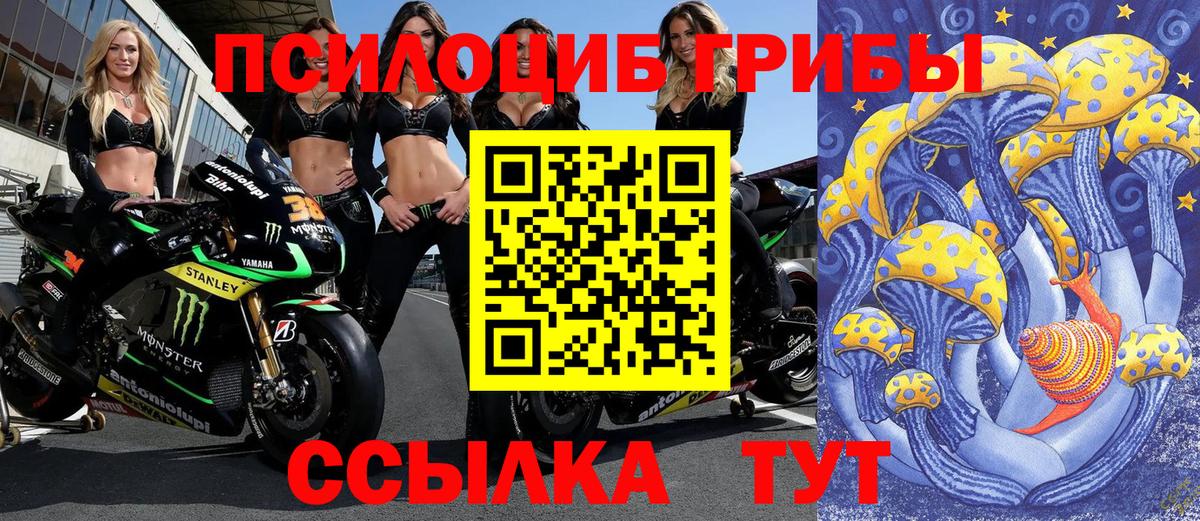 Галлюциногенные грибы GOLDEN TEACHER  Вход с VPN  Ефремов 