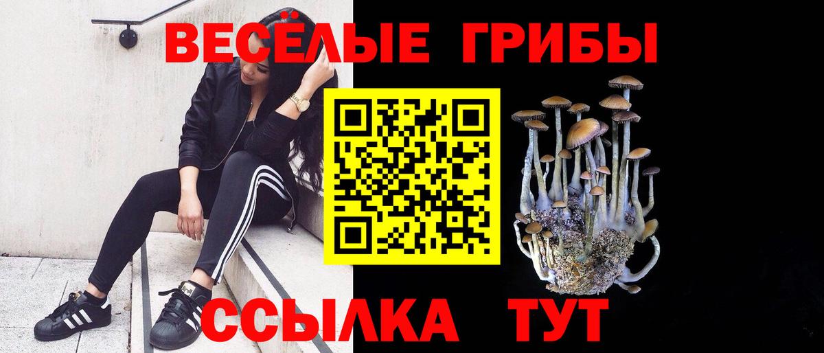 Псилоцибиновые грибы ЛСД Ефремов
